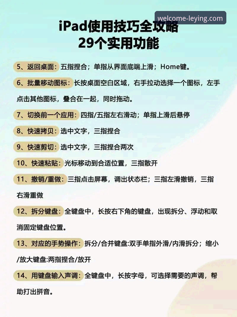 掌握乐盈最新版本更新的实用技巧，提升平台使用效率