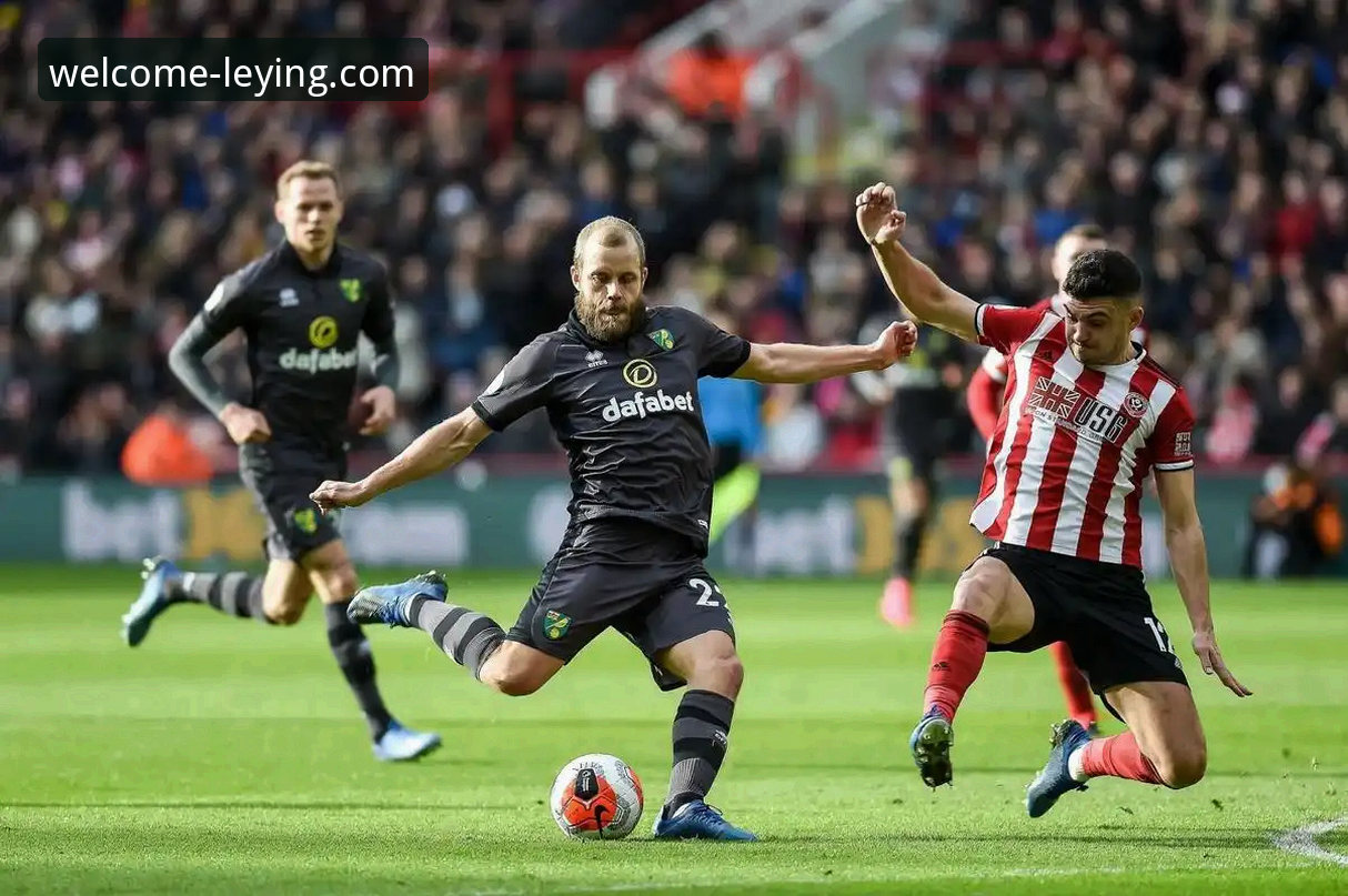 乐盈平台观看英格兰足总杯精彩赛事：狼队vs利物浦完整指南